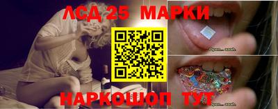 крисы Аргун