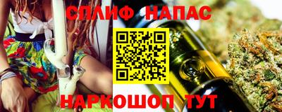 крисы Аргун